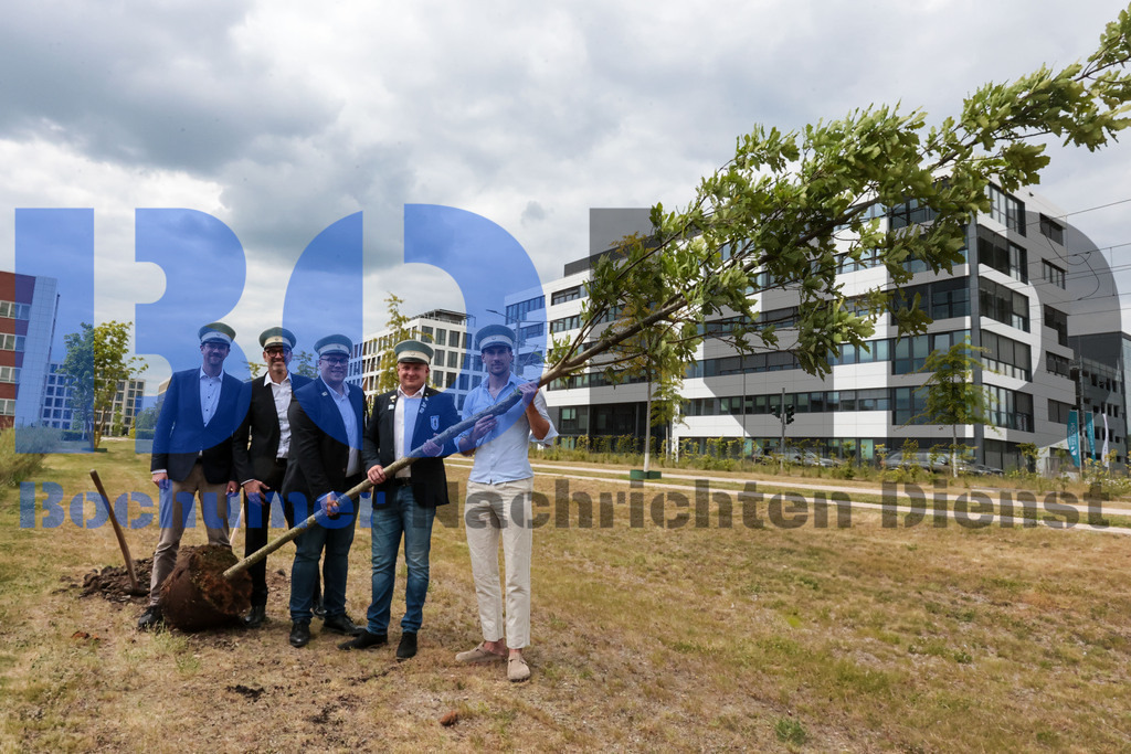 Eicheingrabung | Eicheingrabung - Realisiert mit Pictrs.com