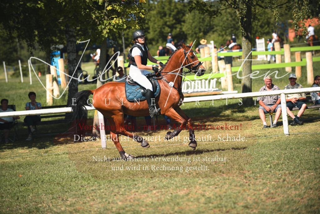 DSC_6945 | Pferde- und Turnierfotografie in Westsachsen. Pferdeportraits, Auftragszeichnungen und intuitive Kunst.