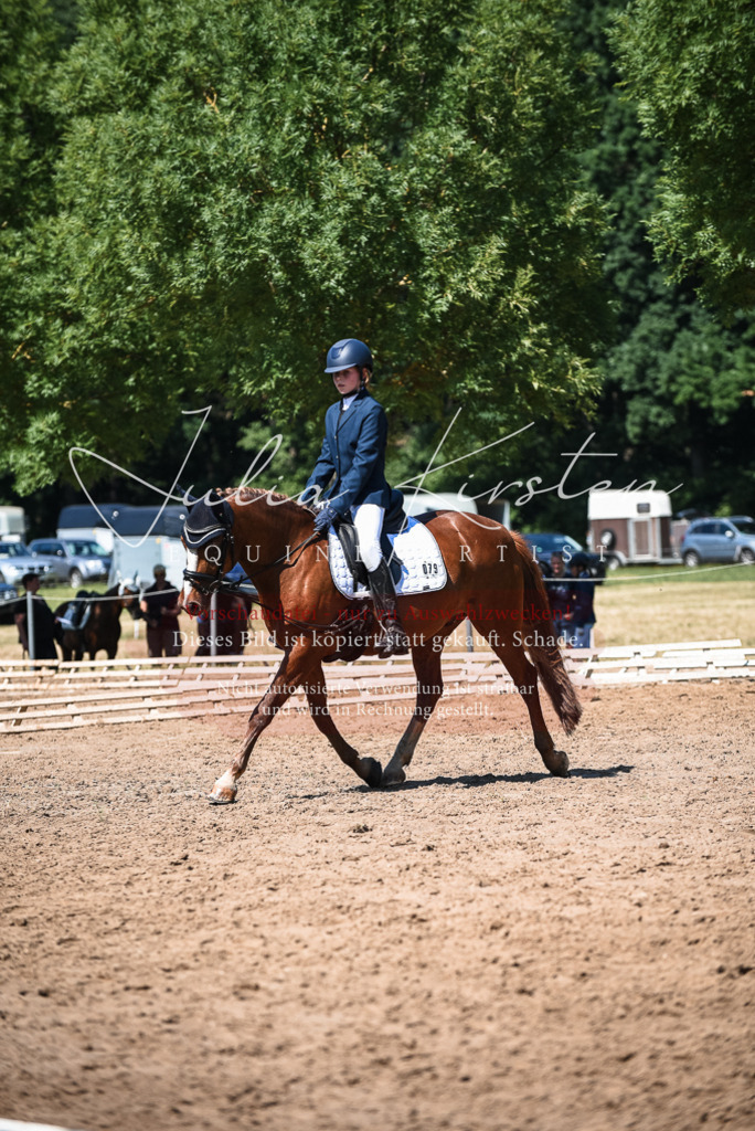DSC_3515 | Pferde- und Turnierfotografie in Westsachsen. Pferdeportraits, Auftragszeichnungen und intuitive Kunst.