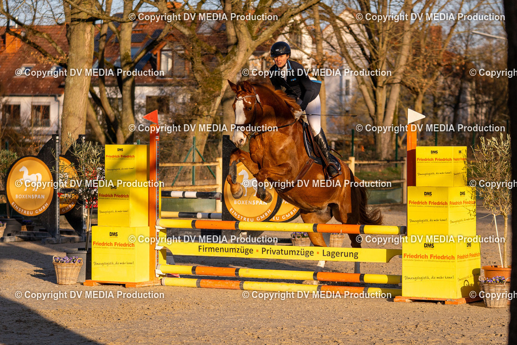 DSC-214 | dv-media-shop - Realisiert mit Pictrs.com