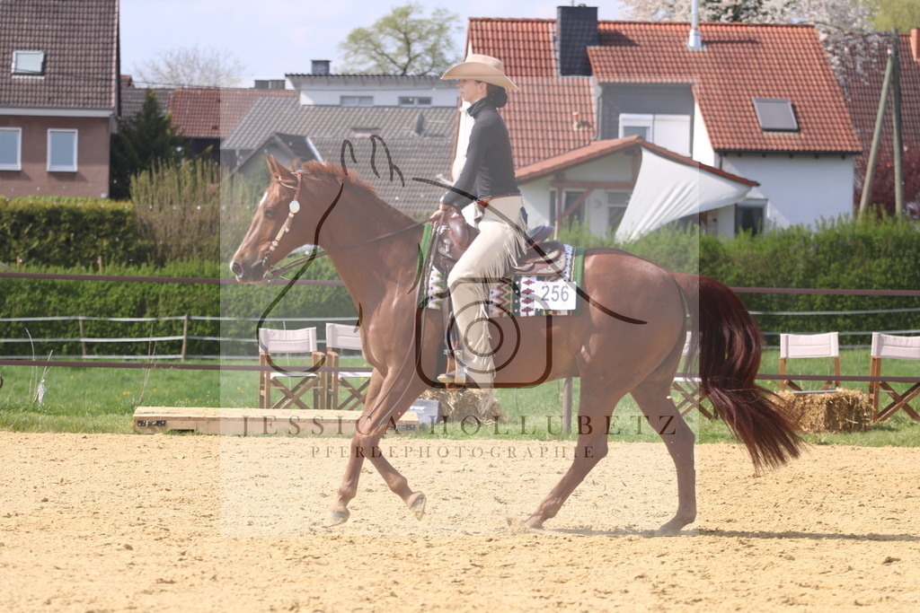 IMG_0700 | jessicahollubetz_pferdephotographie - Realisiert mit Pictrs.com