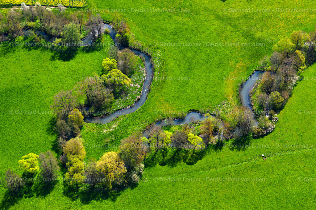 3600172 | Baumstrukturen a.d.Saale bei Saal a.d.Saale