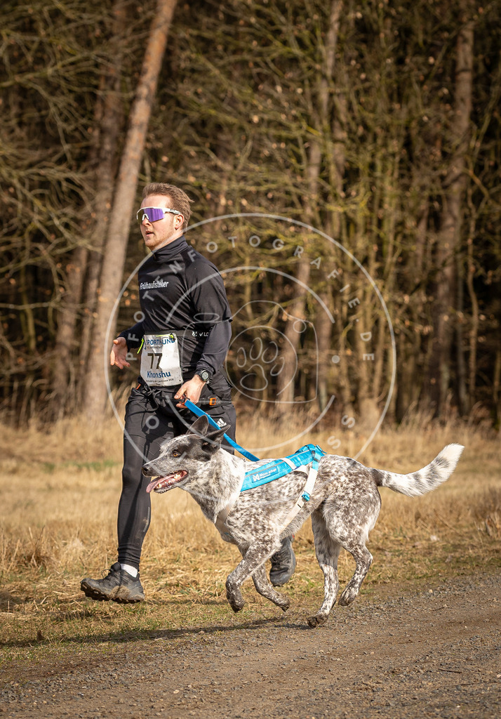 DV3A3674 | Hundefotografie, Tierfotograf, Pfotenfotografie, Fotoshooting Hund, Hunde Portrait, Hundesport, Hundeportraits, Heideshooting, Hunde, Sportfotograf, Hundefotograf, Turnierhundsport, THS,  - Realisiert mit Pictrs.com