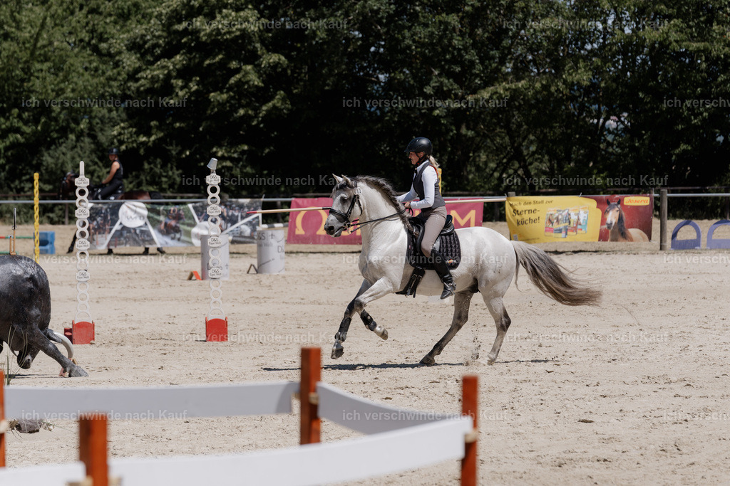 WM_SP_83_SinaFilmArt_IN07195 | working equitationturnier fotograf videograf stoibphotography marixx film working equitation deutschland reitsport turnierfotografie eventfotografie equestrian events