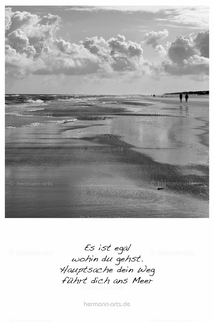 PK_Zitate_10x15_BW-140 | Photo Foto Kunst Art schwarzweiss Bilder Rheine Münster Berlin Blumen 