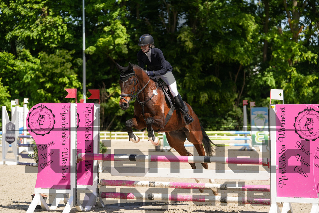 DSC02219 | Julian Held Fotografie - Realisiert mit Pictrs.com