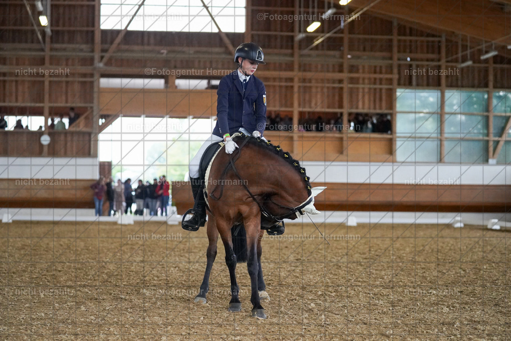 20240825-FAH09140 | Turnierbilder, Reitsportfotos, LAPO, Landesponyturnier, Turnierfotografen Bayern