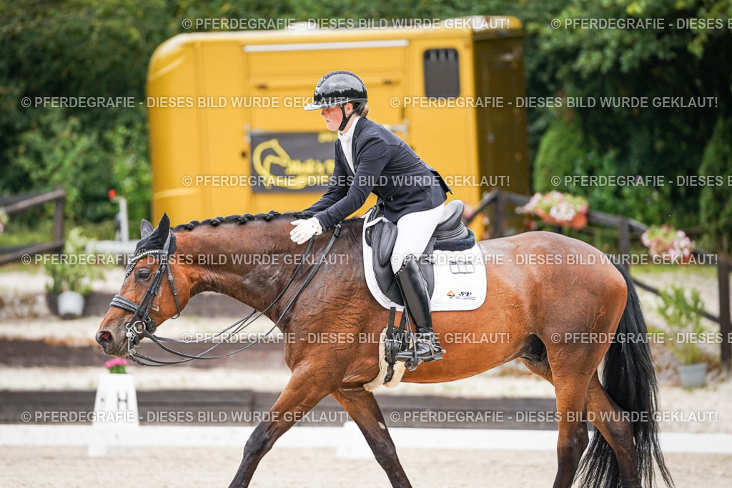 DSC08324 | Pferdegrafie