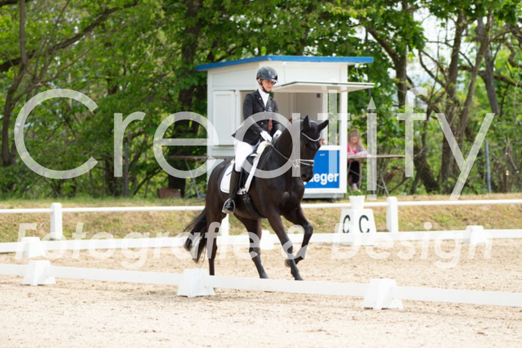 IMG_2225 | Creatify Fotografie