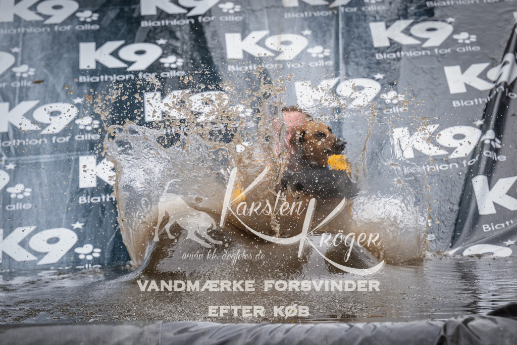 1253_ZZ90747 | kk-dogfotos