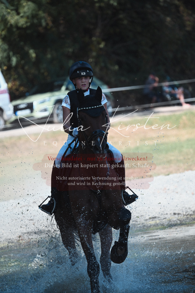 DSC_8597 | Pferde- und Turnierfotografie in Westsachsen. Pferdeportraits, Auftragszeichnungen und intuitive Kunst.
