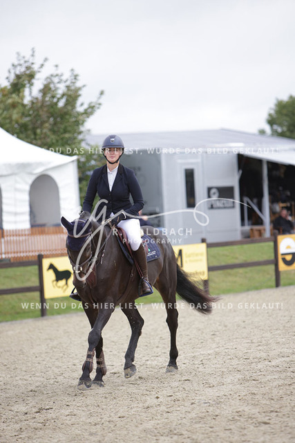 1J2A0665Elisa Marlene von Hacht_ Pablo vd Kruisselbrink_ Kn828_ Havekost | Foto- und Videografie für alles rund ums Pferd. Hochwertige Bilder und Videos vom Spring- und Dressurreiten, Voltigieren & mehr. Jetzt aktuelle Veranstaltungen und Preise im Shop ansehen. - Realisiert mit Pictrs.com