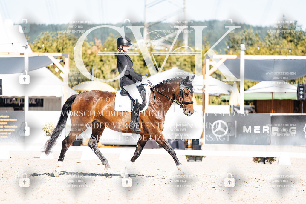 CK907937 | Turnierfotografie Pferdefotografie Trier Rheinland-Pfalz Pferdesport Reitsport Tierfotografie Sportfotografie Pferdevideo Pferdevideografie Equestrianvideography equestrianphotography  - Realisiert mit Pictrs.com