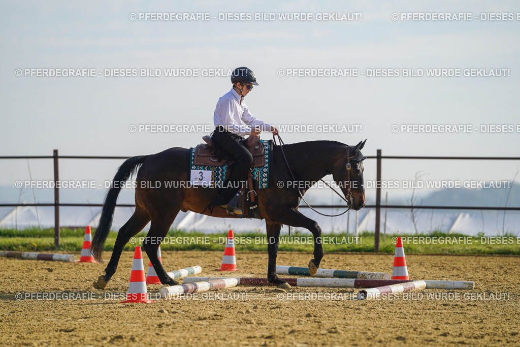 DSC00779 | Pferdegrafie