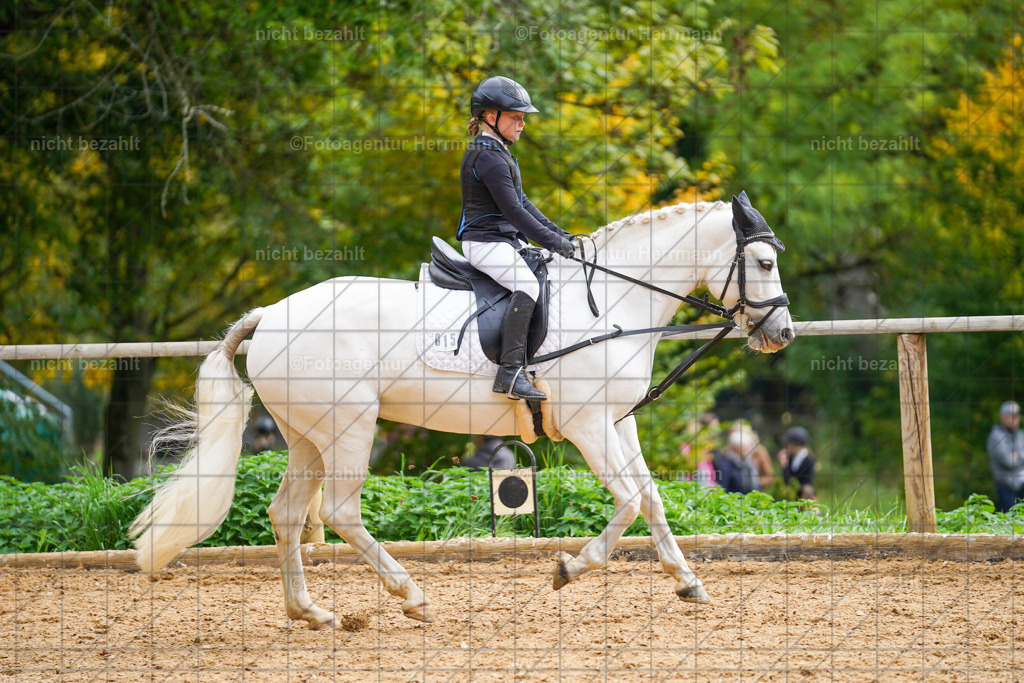 20221008-FAH01264 | Diessen am Ammersee, 2022, Dressur- und Springturnier, Reitsportbilder, Turnierfotografen Bayern, Pferdefotografen, Fotoagentur Herrmann, Turnierbilder