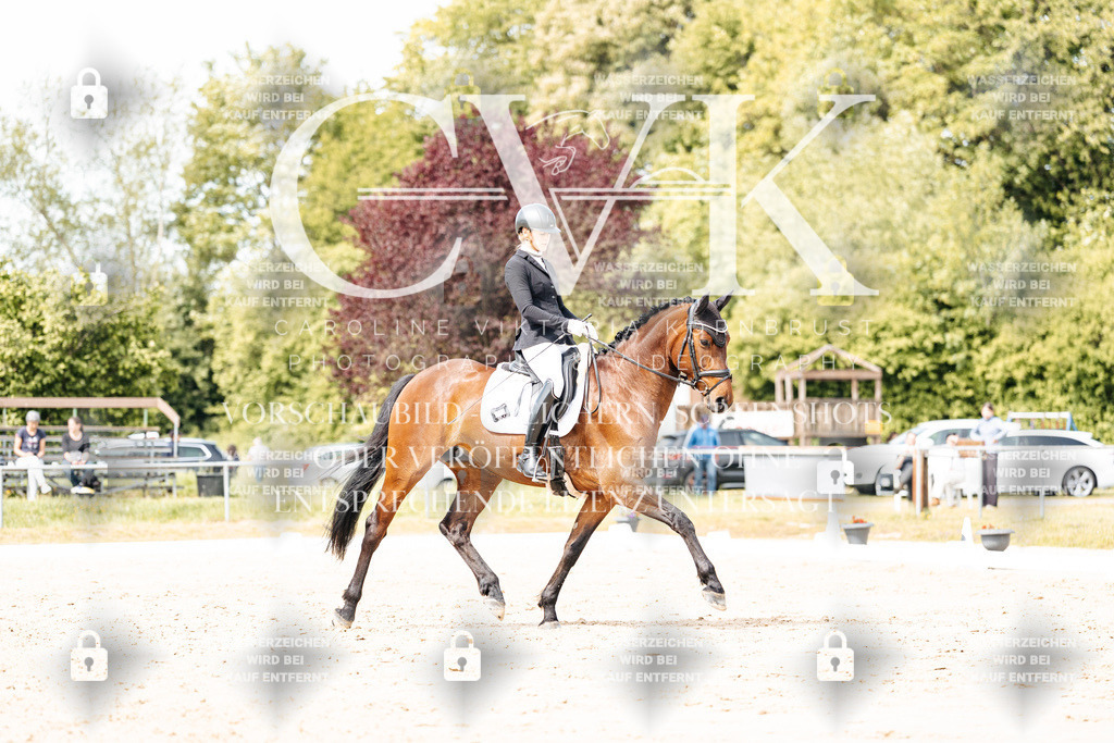 CK901505 | Turnierfotografie Pferdefotografie Trier Rheinland-Pfalz Pferdesport Reitsport Tierfotografie Sportfotografie Pferdevideo Pferdevideografie Equestrianvideography equestrianphotography  - Realisiert mit Pictrs.com