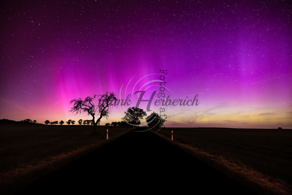 _X0A0349-Editbea2 | Frank Herberich Fotografie, Frank Herberich, Fotografie, Hochzeit, Portrait, St. Peter Ording, Ording, Westerhever, Nordsee, Frank Fotografie, Hardheim,  Odenwald,Walldürn, Band,Eventfotografie - Realisiert mit Pictrs.com