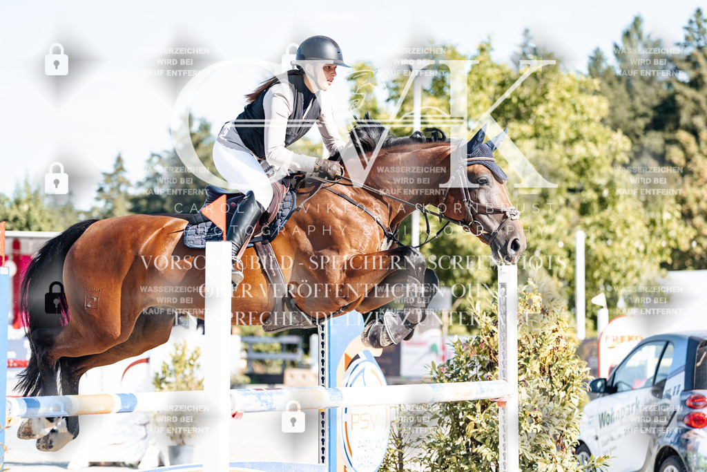 CK904575 | Turnierfotografie Pferdefotografie Trier Rheinland-Pfalz Pferdesport Reitsport Tierfotografie Sportfotografie Pferdevideo Pferdevideografie Equestrianvideography equestrianphotography  - Realisiert mit Pictrs.com