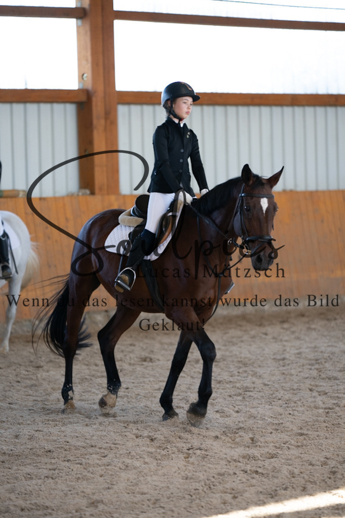 A7V02046 | Turnier/Reitfotograf
