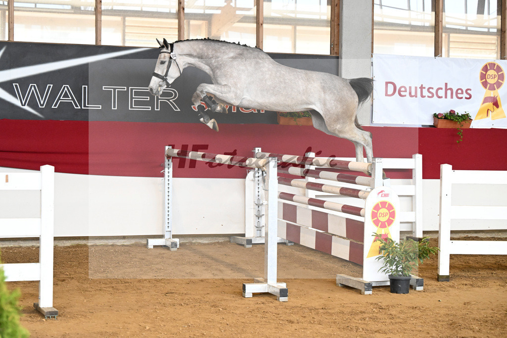 Kat-Nr. 44 Cabriola v. Cabrio v d Heffinck_ZG Hess-Mueller_7251108 | hf-fotografie - Realizzato con Pictrs.com