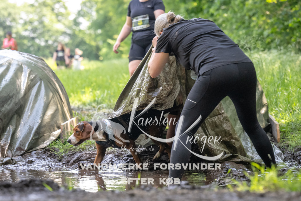 1159_ZZ90818 | kk-dogfotos