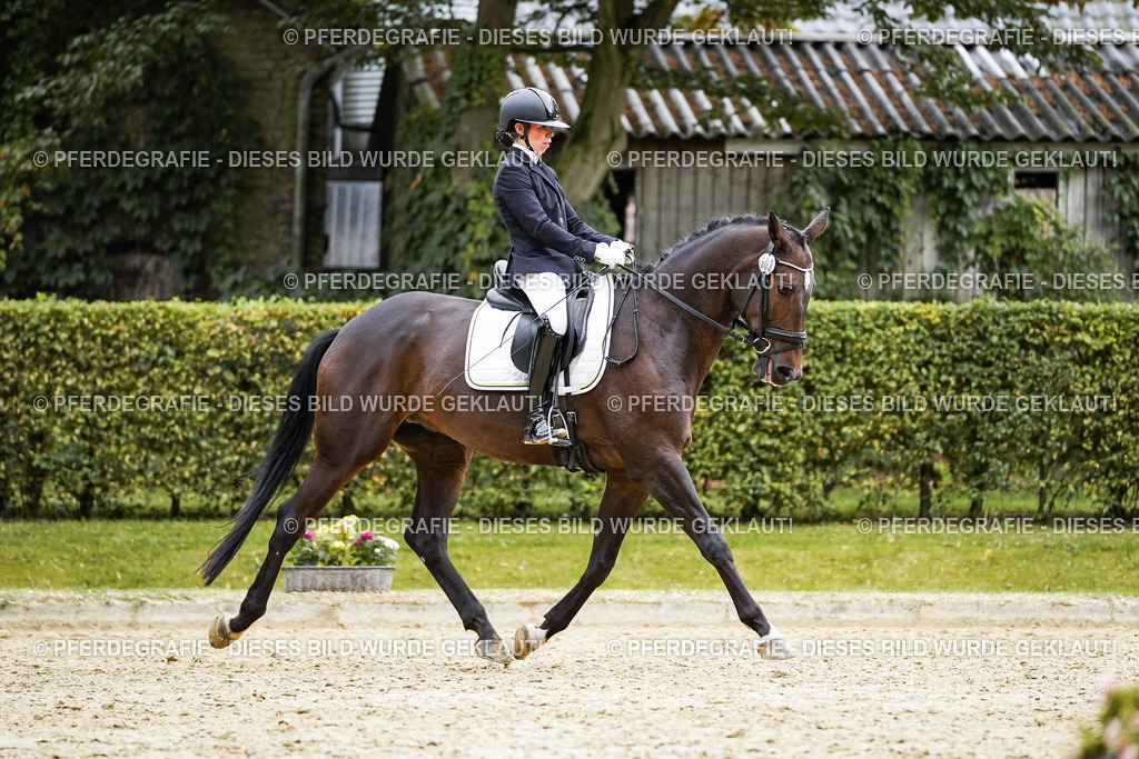 DSC00902 | Pferdegrafie