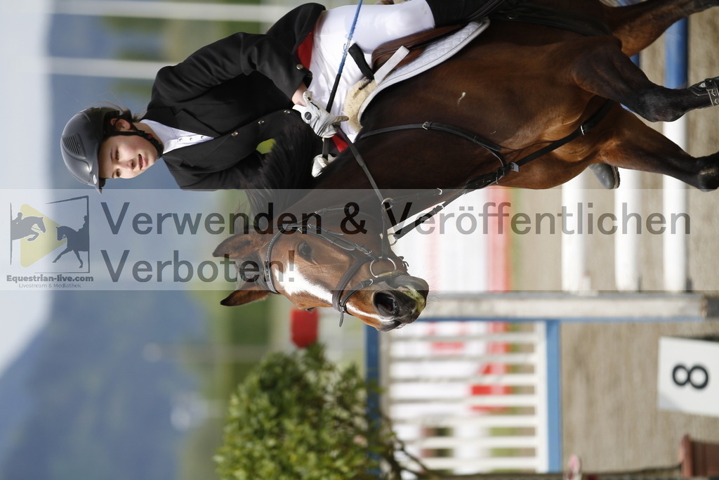 _MG_1314 | equestrian-live-com