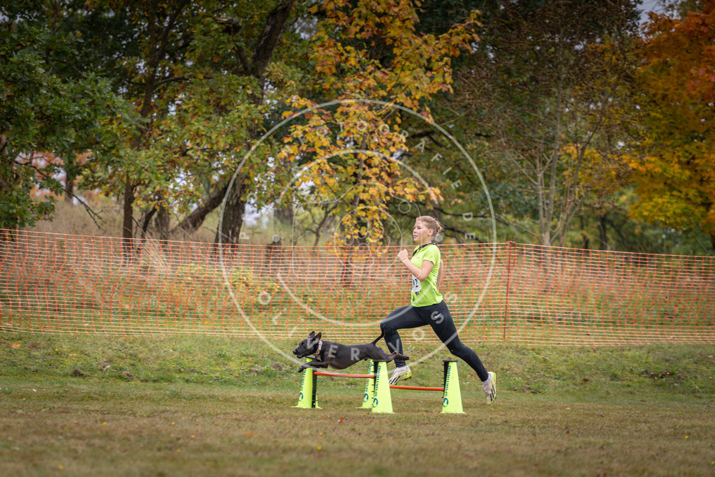 Pfotenfotografie_DV3A1270 | Hundefotografie, Tierfotograf, Pfotenfotografie, Fotoshooting Hund, Hunde Portrait, Hundesport, Hundeportraits, Heideshooting, Hunde, Sportfotograf, Hundefotograf, Turnierhundsport, THS,  - Realisiert mit Pictrs.com