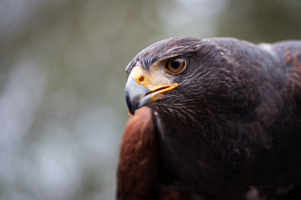 DSC_7279 | kaefersammler_roy - Realisiert mit Pictrs.com