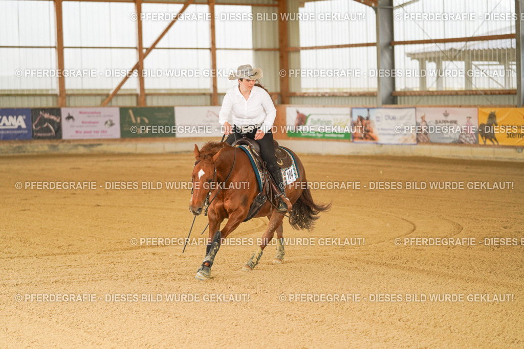 DSC00339 | Pferdegrafie