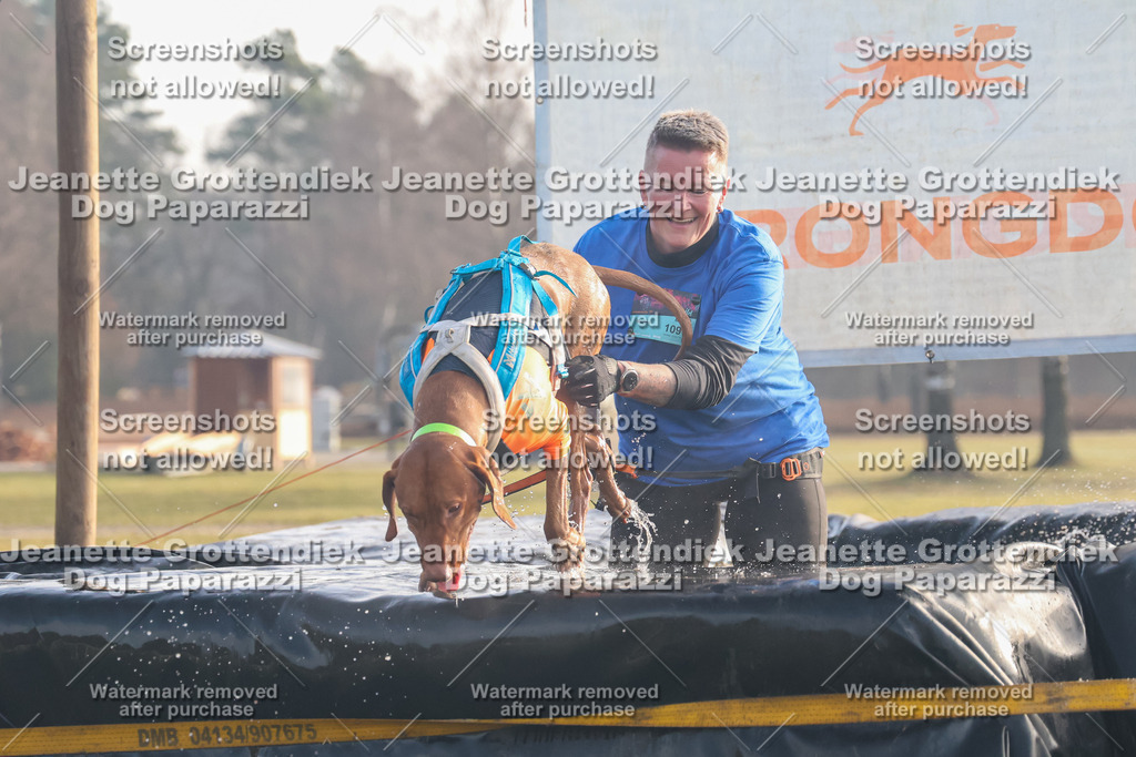 Dog Paparazzi - SD North 0326 900930-23 | Dog Paparazzi Jeanette Grottendiek Fotografie & Videografie - Realisiert mit Pictrs.com