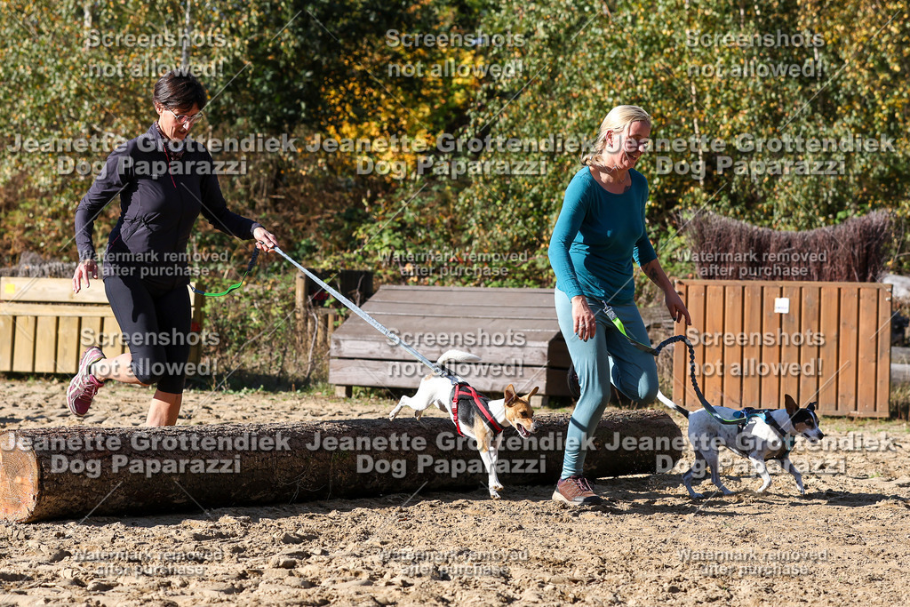 Dog Paparazzi - Strongdog 10-25-4687 | Dog Paparazzi Jeanette Grottendiek Fotografie & Videografie - Realisiert mit Pictrs.com