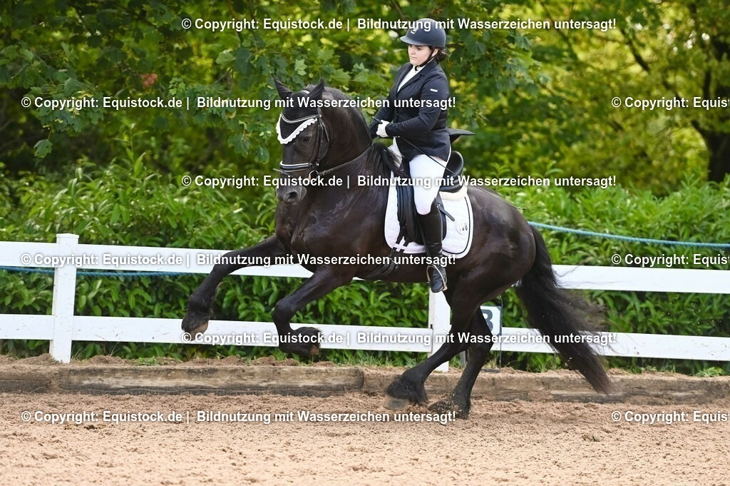 20230716_04_Dressurreiterprüfung Kl.A_0381 | equistock