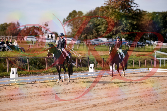 2026_10_03_Siefer-Hof_113232_Z81_78760018 | Professionelle Reitsport-, Turnier- und Eventfotografie von Robert Broda. Galerien mit ausgewählten und bearbeiteten Bildern direkt online ansehen und bestellen.