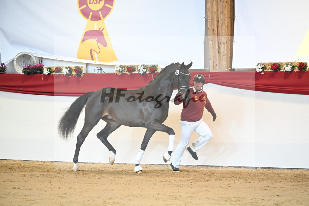 Kat-Nr. 62 Le Formidable_Rothenberger_1231471 | hf-fotografie - Realisiert mit Pictrs.com