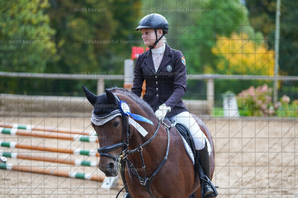 20221009-FAH08326 | Diessen am Ammersee, 2022, Dressur- und Springturnier, Reitsportbilder, Turnierfotografen Bayern, Pferdefotografen, Fotoagentur Herrmann, Turnierbilder