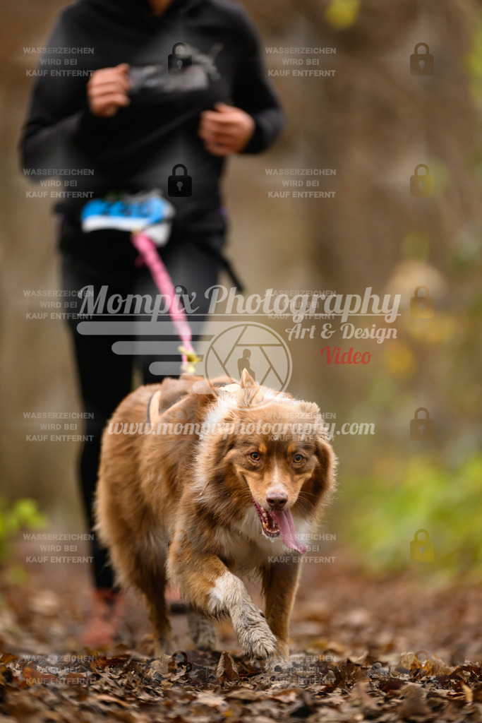 MompixPhotography_Eschau2024_CCC-144 | PayLife