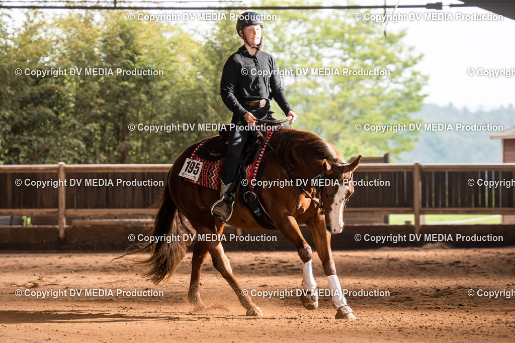 Erbach Tag 2-753 | dv-media-shop - Realisiert mit Pictrs.com