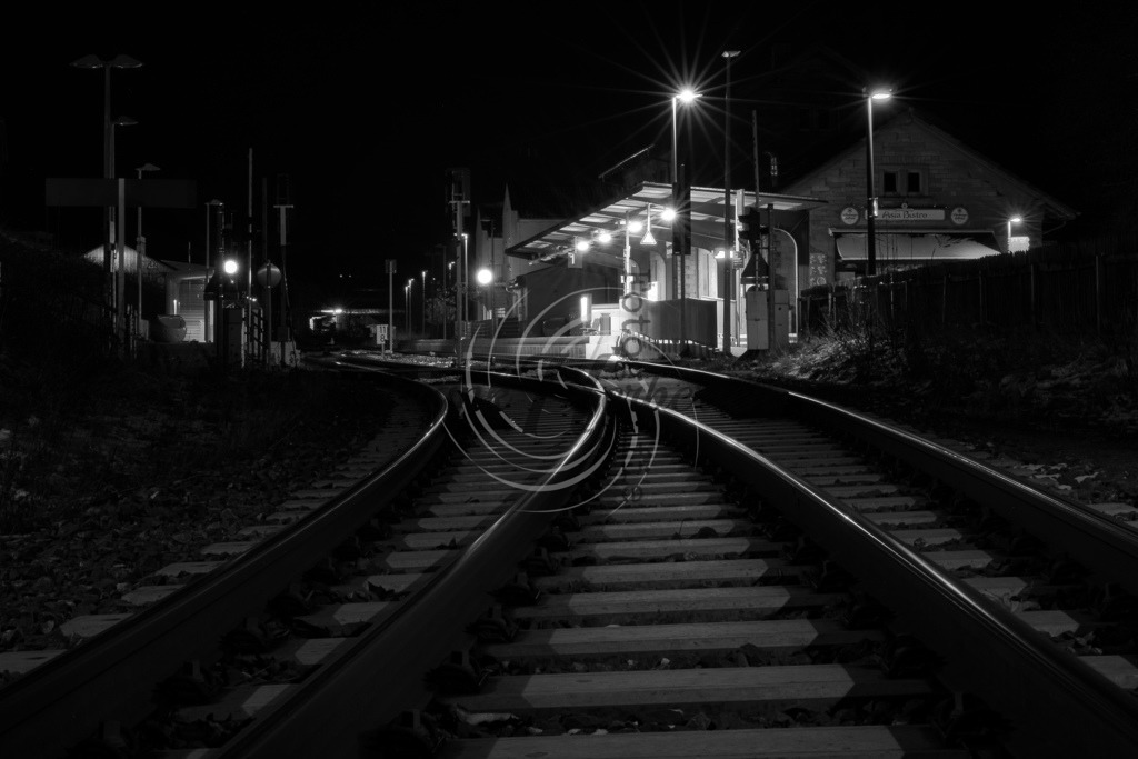 Buchen | Frank Herberich Fotografie, Frank Herberich, Fotografie, Hochzeit, Portrait, St. Peter Ording, Ording, Westerhever, Nordsee, Frank Fotografie, Hardheim,  Odenwald,Walldürn, Band,Eventfotografie - Realisiert mit Pictrs.com