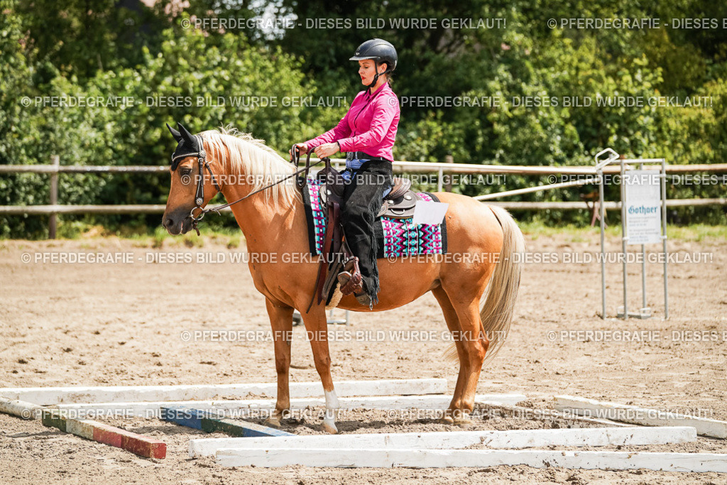 DSC08017 | Pferdegrafie