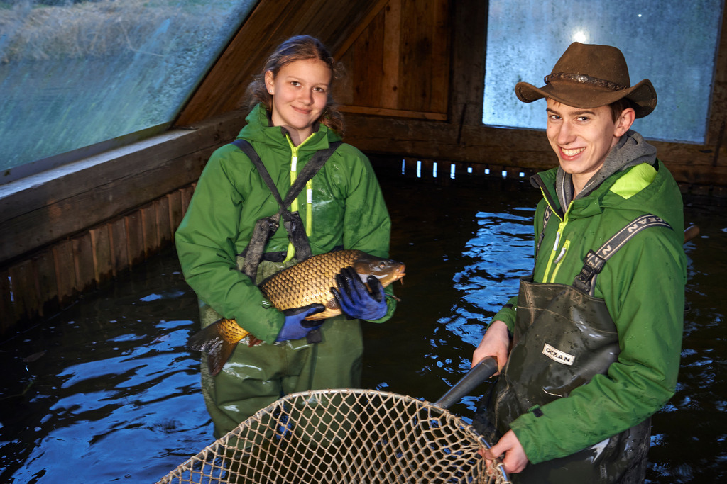 Yupitaze Fischtextil | Litschau, Austria - April 02, 2016: Yupitaze Fischtextil; Karpfen werden mit einem Kescher eingefangen. - Realisiert mit Pictrs.com