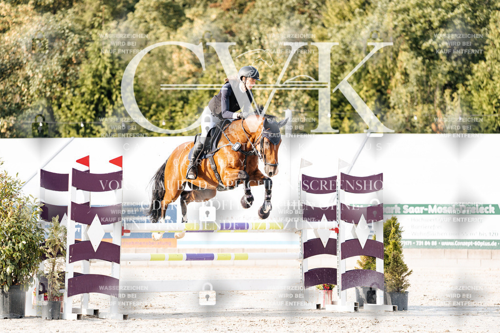 CK903369 | Turnierfotografie Pferdefotografie Trier Rheinland-Pfalz Pferdesport Reitsport Tierfotografie Sportfotografie Pferdevideo Pferdevideografie Equestrianvideography equestrianphotography  - Realisiert mit Pictrs.com