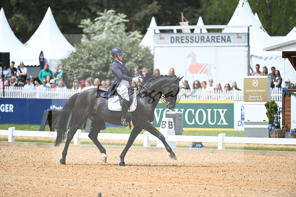 Merk_Sambuco_11233588 | hf-fotografie - Realisiert mit Pictrs.com