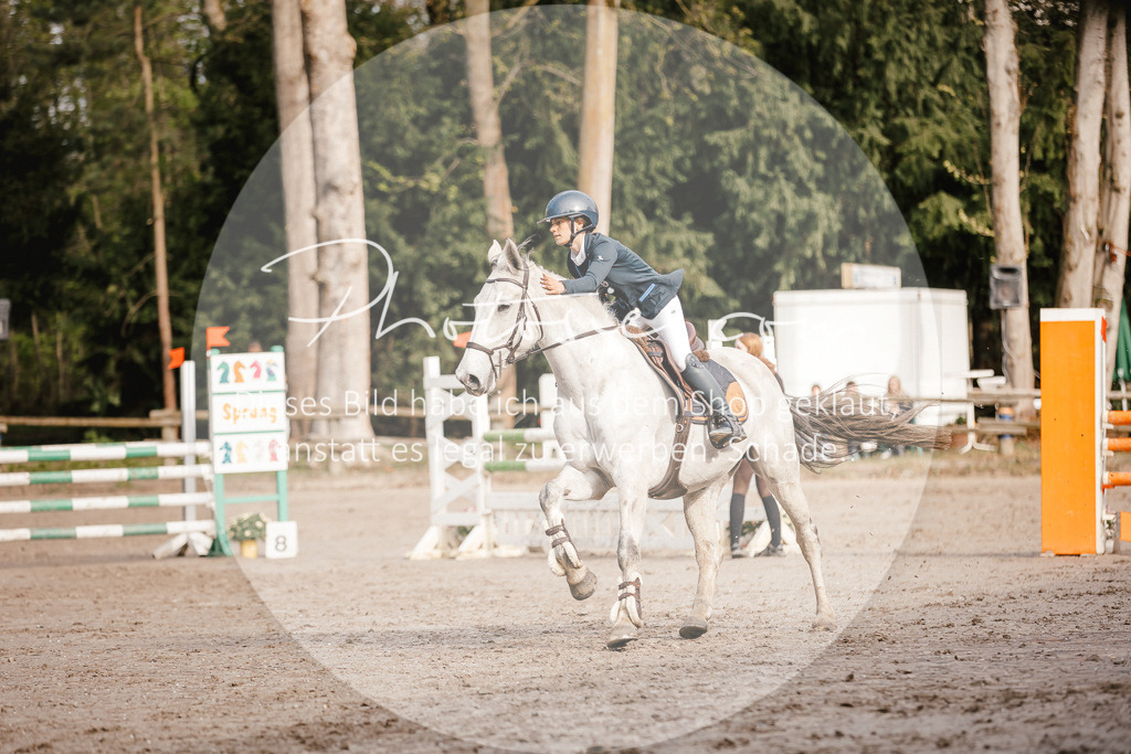 3I6A3386 | Stimmungsvolle Portraits und Reitsportfotografie im Ruhrgebiet und im Münsterland.

Pferdefotografie, Hundefotografie, Tierfotografie, Reportagen, Portraits von Tier und Mensch, Turnierfotografie in Bochum, Recklinghausen, Marl, Haltern am See, Dülmen.. - Realisiert mit Pictrs.com