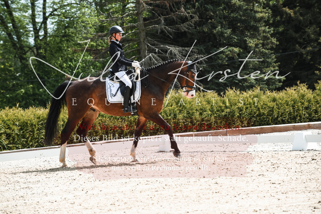 20230518_JK-Röhrsdorf-11-0414 | Pferde- und Turnierfotografie in Westsachsen. Pferdeportraits, Auftragszeichnungen und intuitive Kunst.