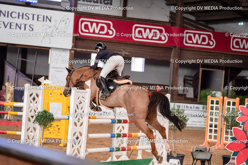 Kranichstein II Tag 3-500 | dv-media-shop - Realisiert mit Pictrs.com