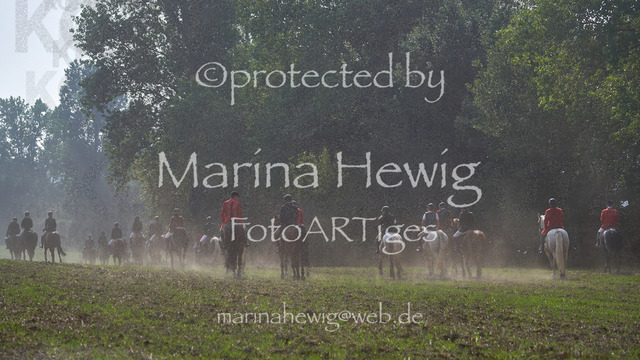 09-23 Jagd Perdöl_MCH0319_Marina Hewig | Fotografie, FotoArt, PferdesportArt, Pferdesportfotografie, Landschaftsfotografie, Reisefotografie, Reise, Pferde - Realisiert mit Pictrs.com