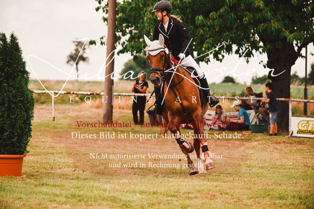 DSC_6991 | Pferde- und Turnierfotografie in Westsachsen. Pferdeportraits, Auftragszeichnungen und intuitive Kunst.