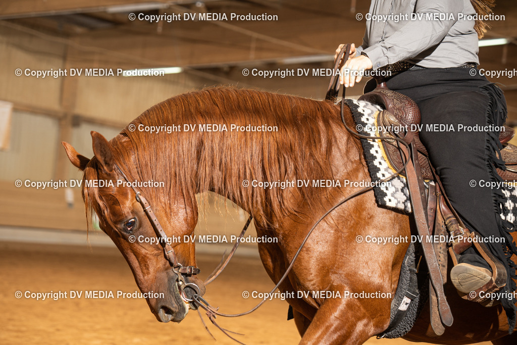 NID01440 | dv-media-shop - Realisiert mit Pictrs.com