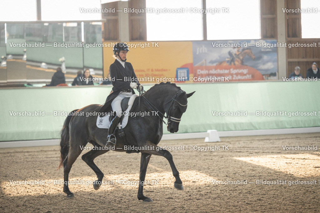 _D5A7658 | Emotionale Pferde- & People-Fotografie rund um Heidelberg, Leimen & Umgebung. Natürliche Fotos von Pferd, Mensch & Familie. Jetzt Termin sichern!